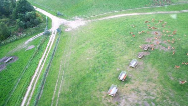 сістэмы агародж якасць вырабу оленеводческие фермы комплекснае абслугоўванне агароджу вялікіх тэрыторый Польшча